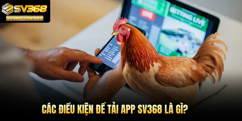 Các điều kiện để tải app SV368 là gì?