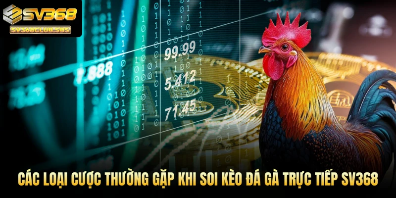 Các loại cược thường gặp khi soi kèo đá gà trực tiếp SV368