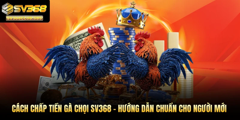 Cách chấp tiền gà chọi SV368