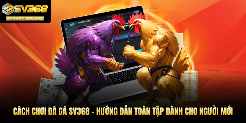 cách chơi đá gà sv368