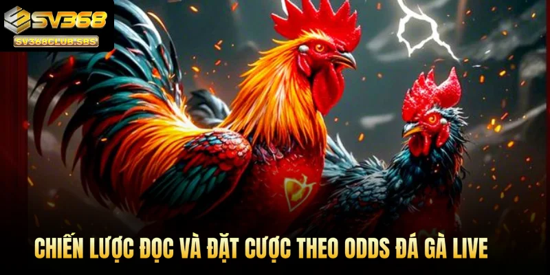 Chiến lược đọc và đặt cược theo odds đá gà live tại SV368