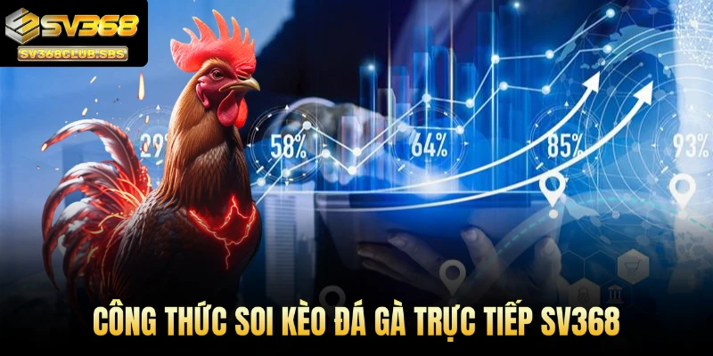Công thức soi kèo đá gà trực tiếp SV368