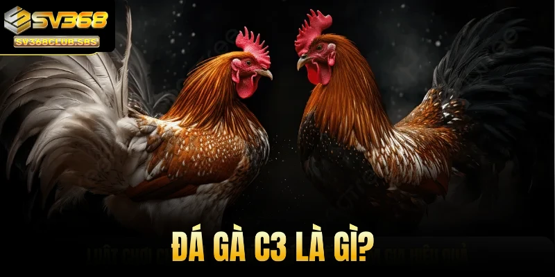 Đá gà C3 là gì?