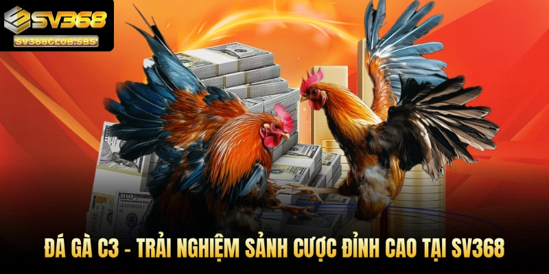 đá gà c3