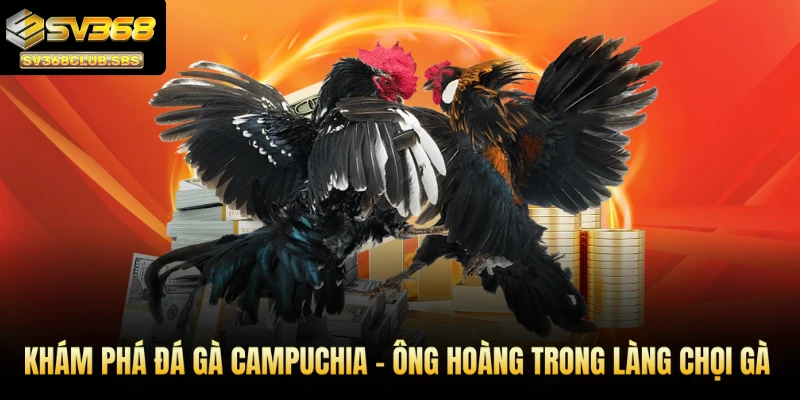đá gà Campuchia
