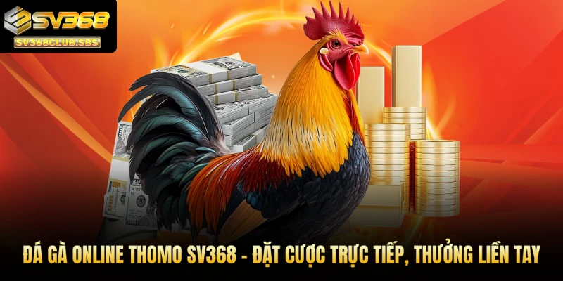 đá gà online Thomo