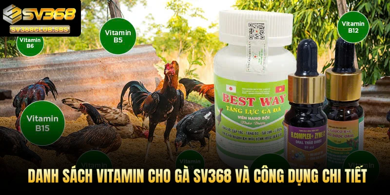 Danh sách vitamin cho gà SV368 và công dụng chi tiết