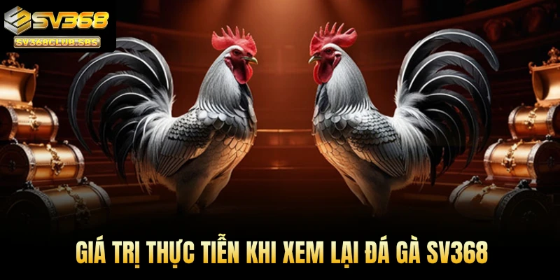 Giá trị thực tiễn khi xem lại đá gà SV368