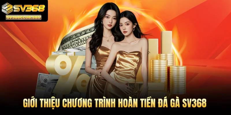 Giới thiệu chương trình hoàn tiền đá gà SV368