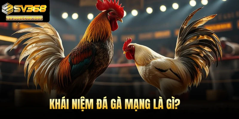 Khái niệm đá gà mạng là gì?