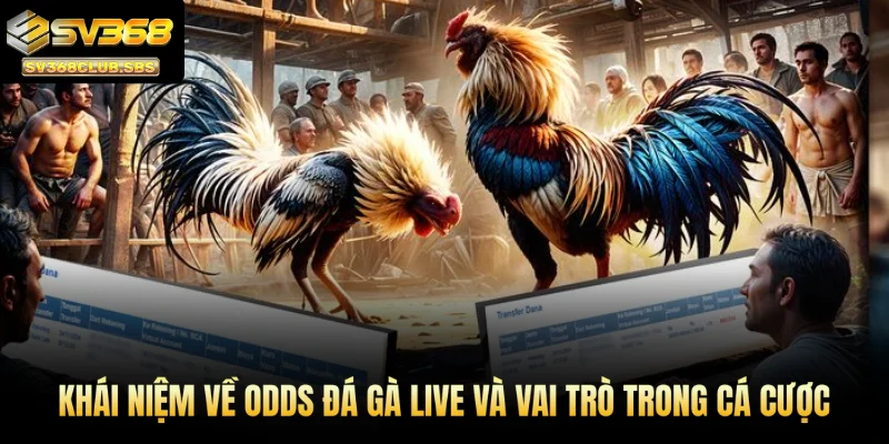 Khái niệm về odds đá gà live và vai trò trong cá cược
