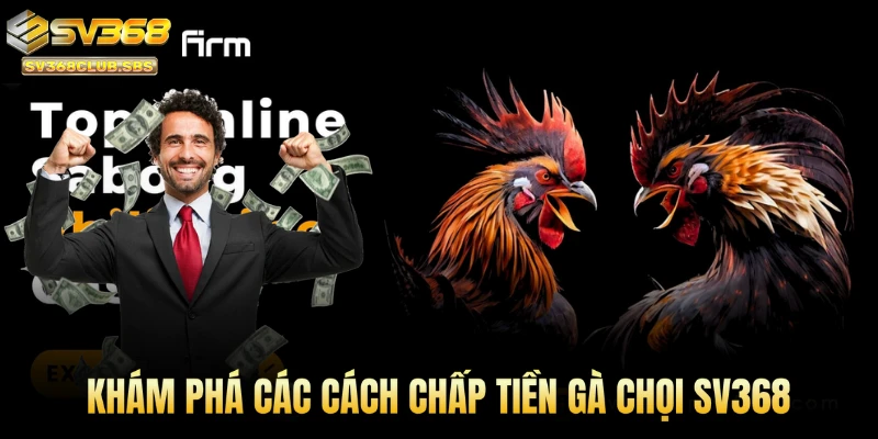Khám phá các cách chấp tiền gà chọi SV368 