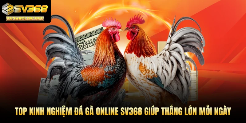 kinh nghiệm đá gà online