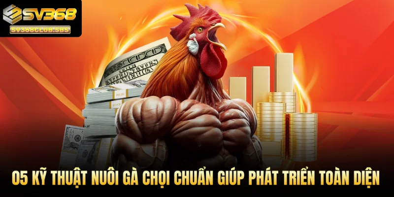 kỹ thuật nuôi gà chọi