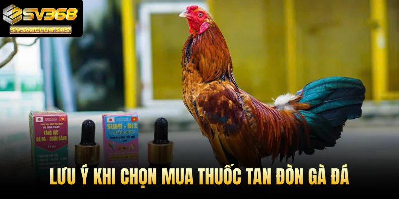Lưu ý khi chọn mua thuốc tan đòn gà đá