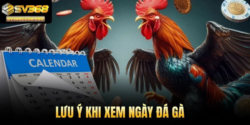 Lưu ý khi xem ngày đá gà