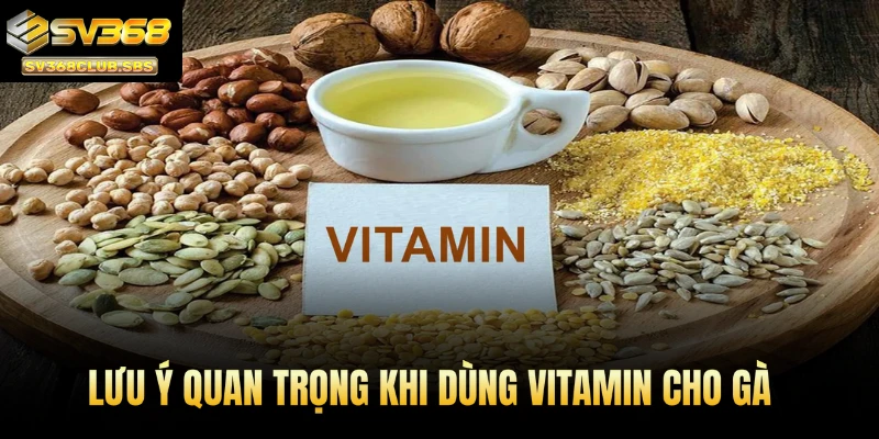 Lưu ý quan trọng khi dùng vitamin cho gà
