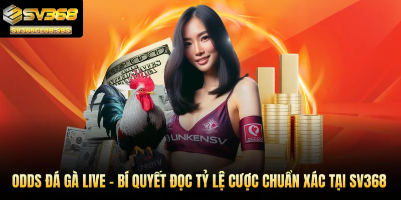 Odds Đá Gà Live