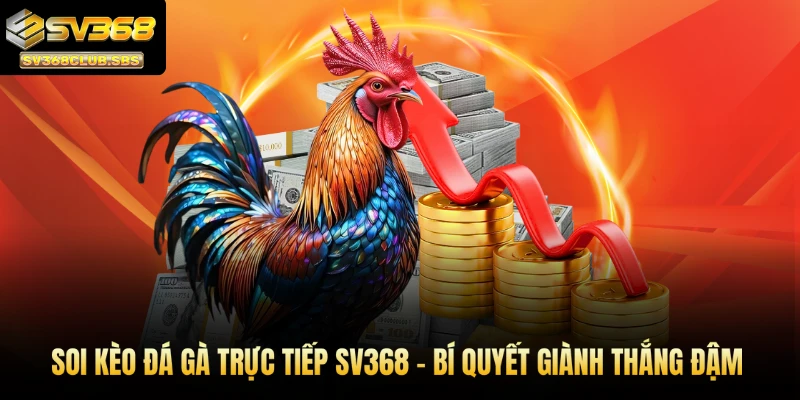 soi kèo đá gà trực tiếp sv368