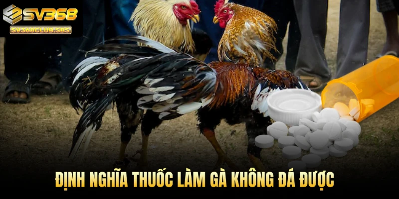 SV368 định nghĩa thuốc làm gà không đá được