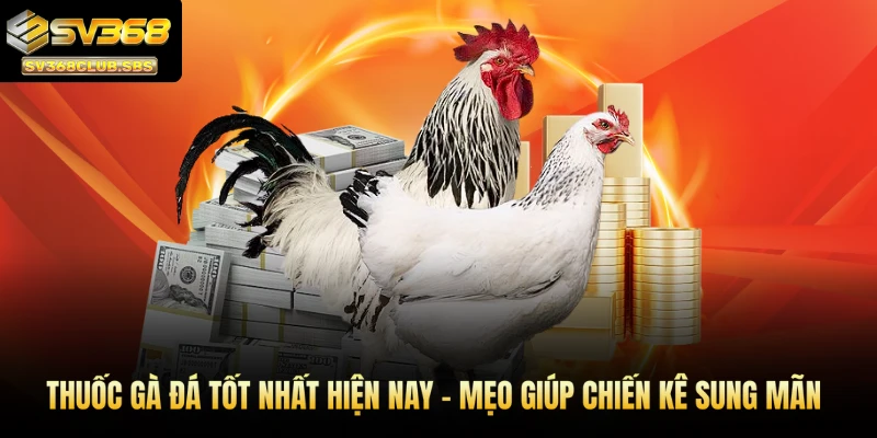 Thuốc gà đá tốt nhất hiện nay