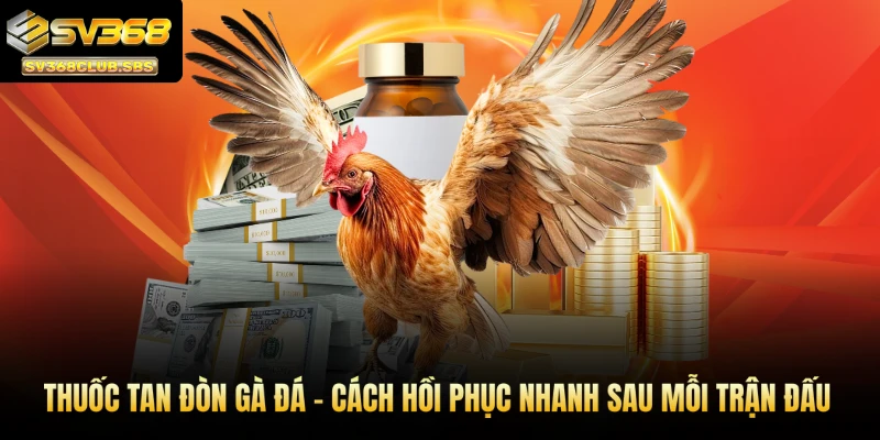 Thuốc tan đòn gà đá