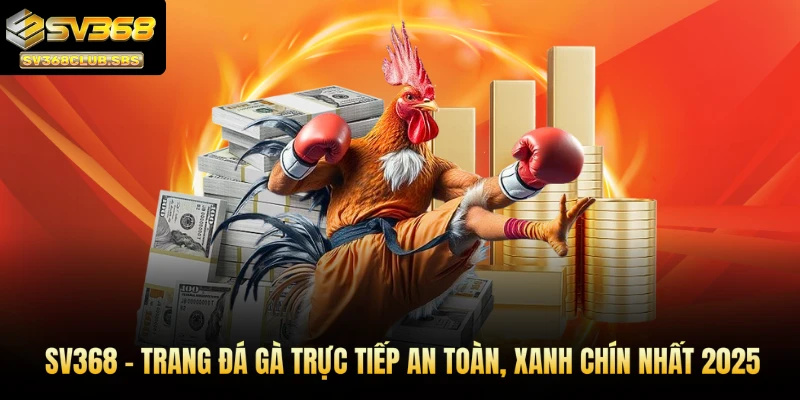 Trang đá gà trực tiếp