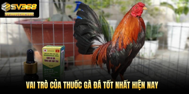 Vai trò của thuốc gà đá tốt nhất hiện nay