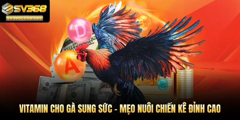 vitamin cho gà