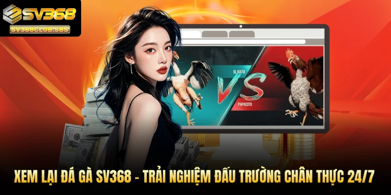 xem lại đá gà sv368