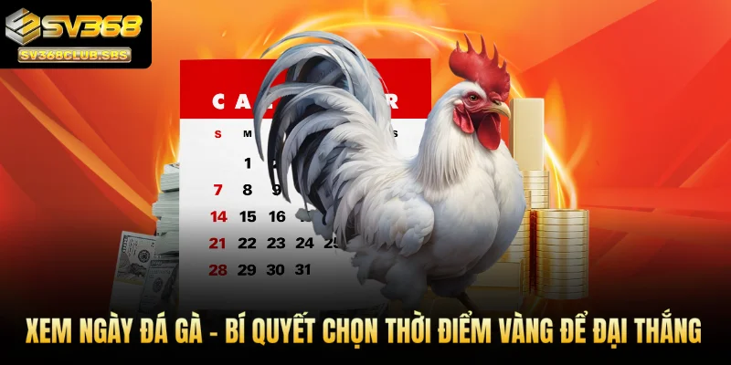xem ngày đá gà